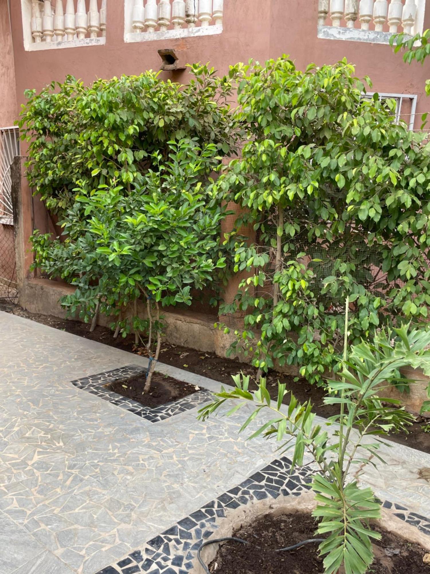 Villa18 Safari Village Saly Exterior photo